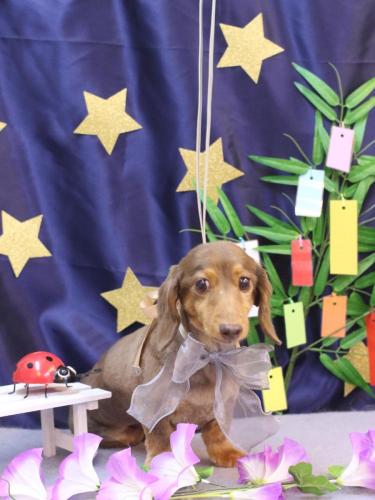 20230702モカくん